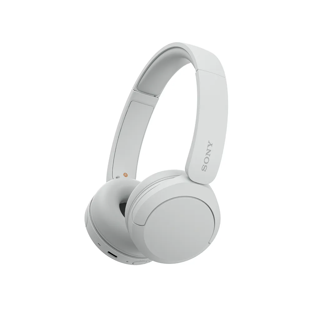 Sony WH-CH520